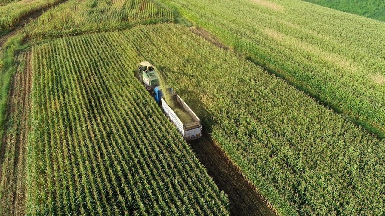Üreticiler 2,3 Milyar Lira Destekleme Ödemesi Alacak