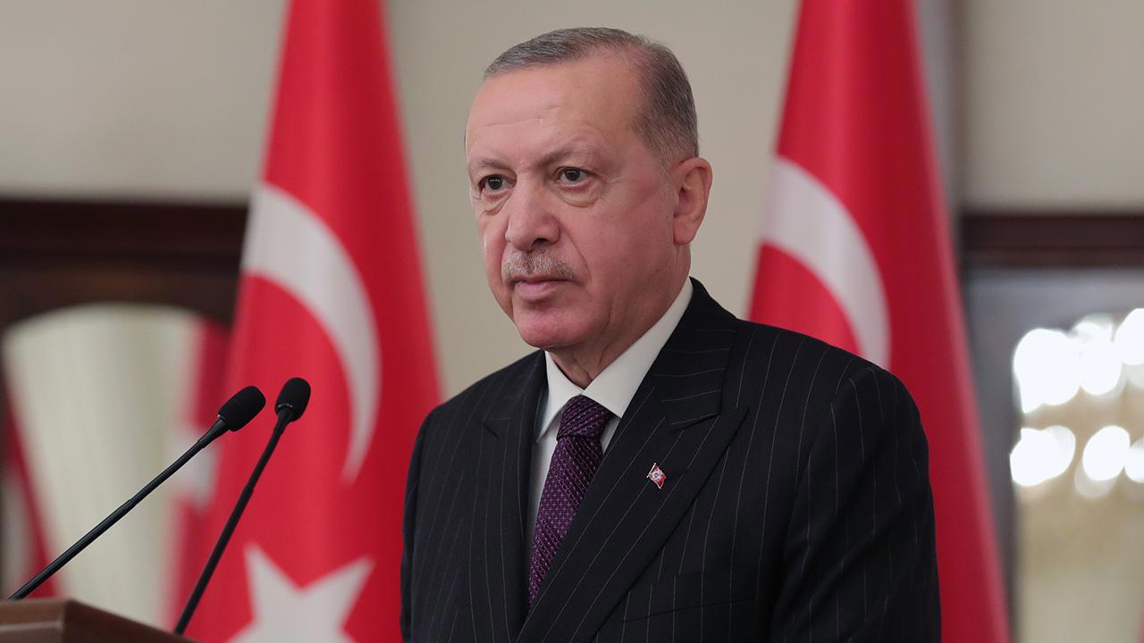 Cumhurbaşkanı Erdoğan, yangın bölgesinde incelemelerde bulundu